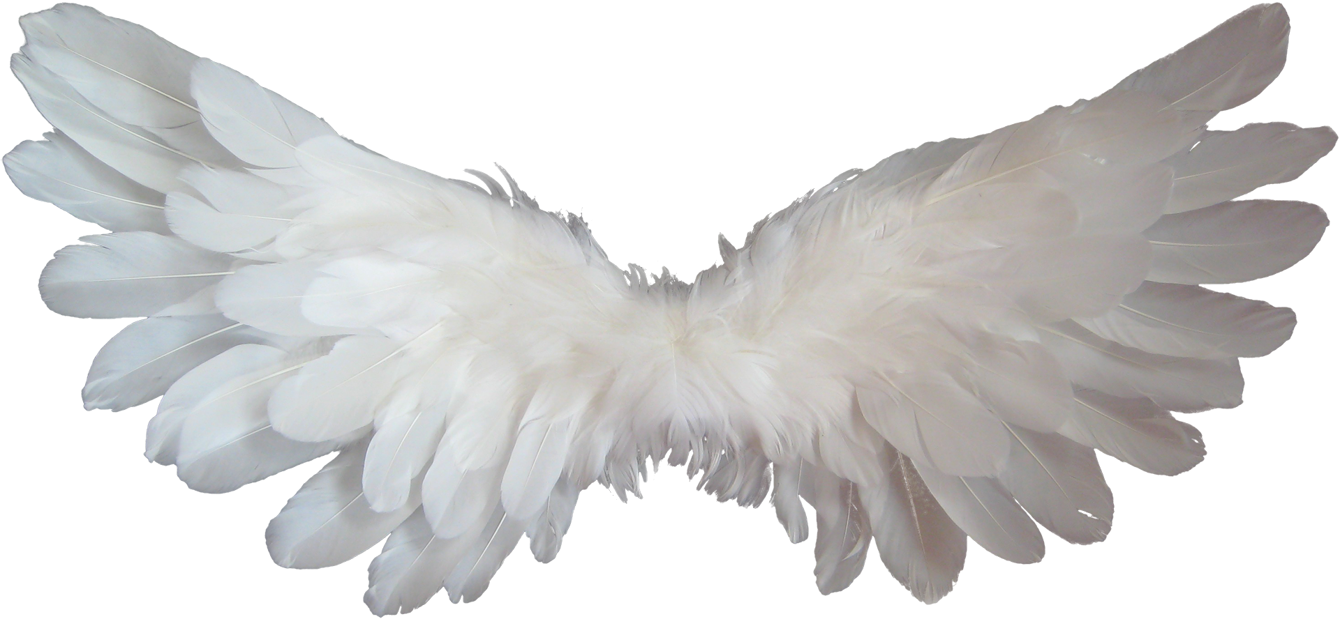 Angel Cartoon Clipart