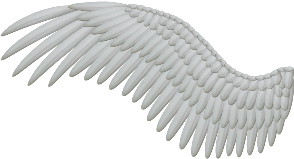 Drawing Wing Clipart
