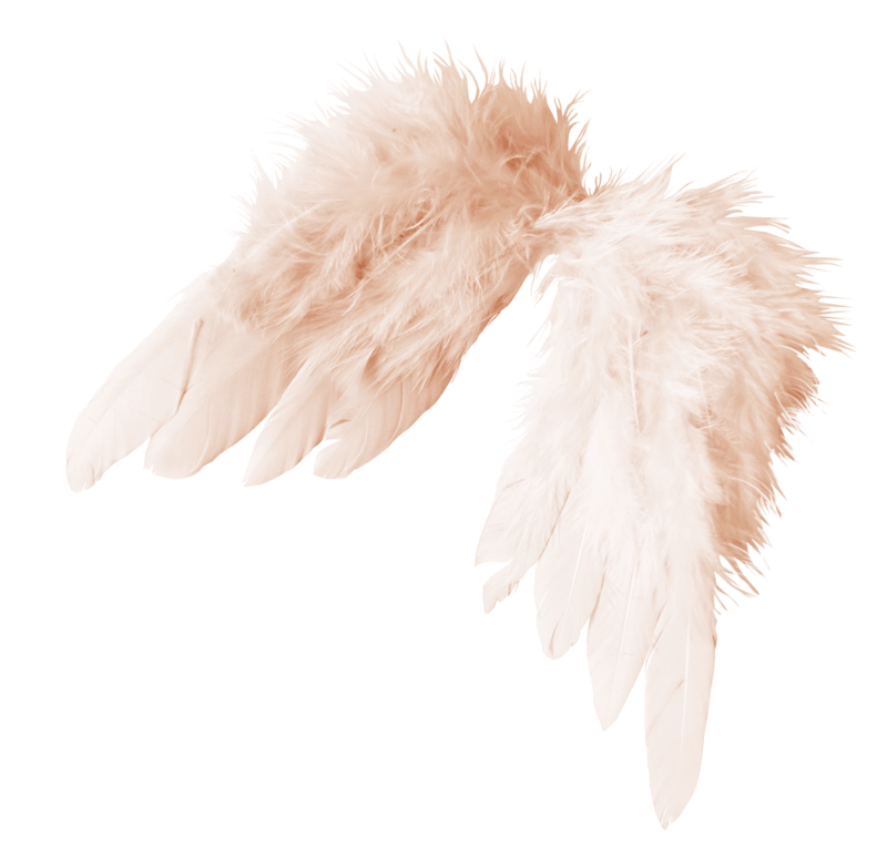 Feather Feather Clipart