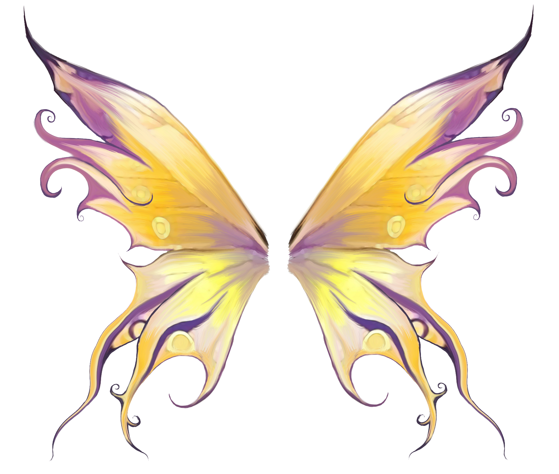 Butterfly Drawing Clipart