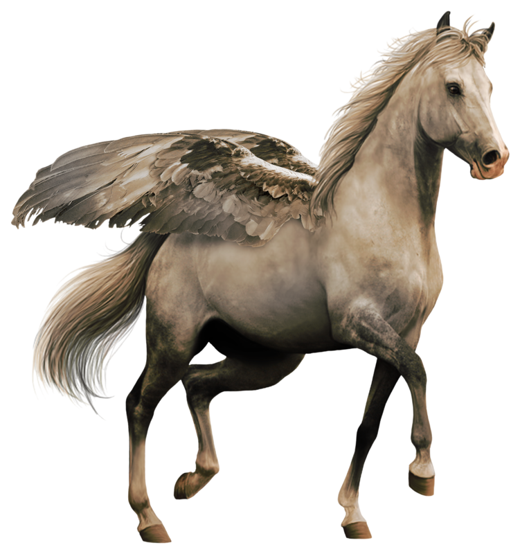 Horse Cartoon Clipart