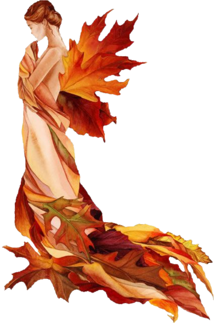 Autumn Leaf Drawing Clipart