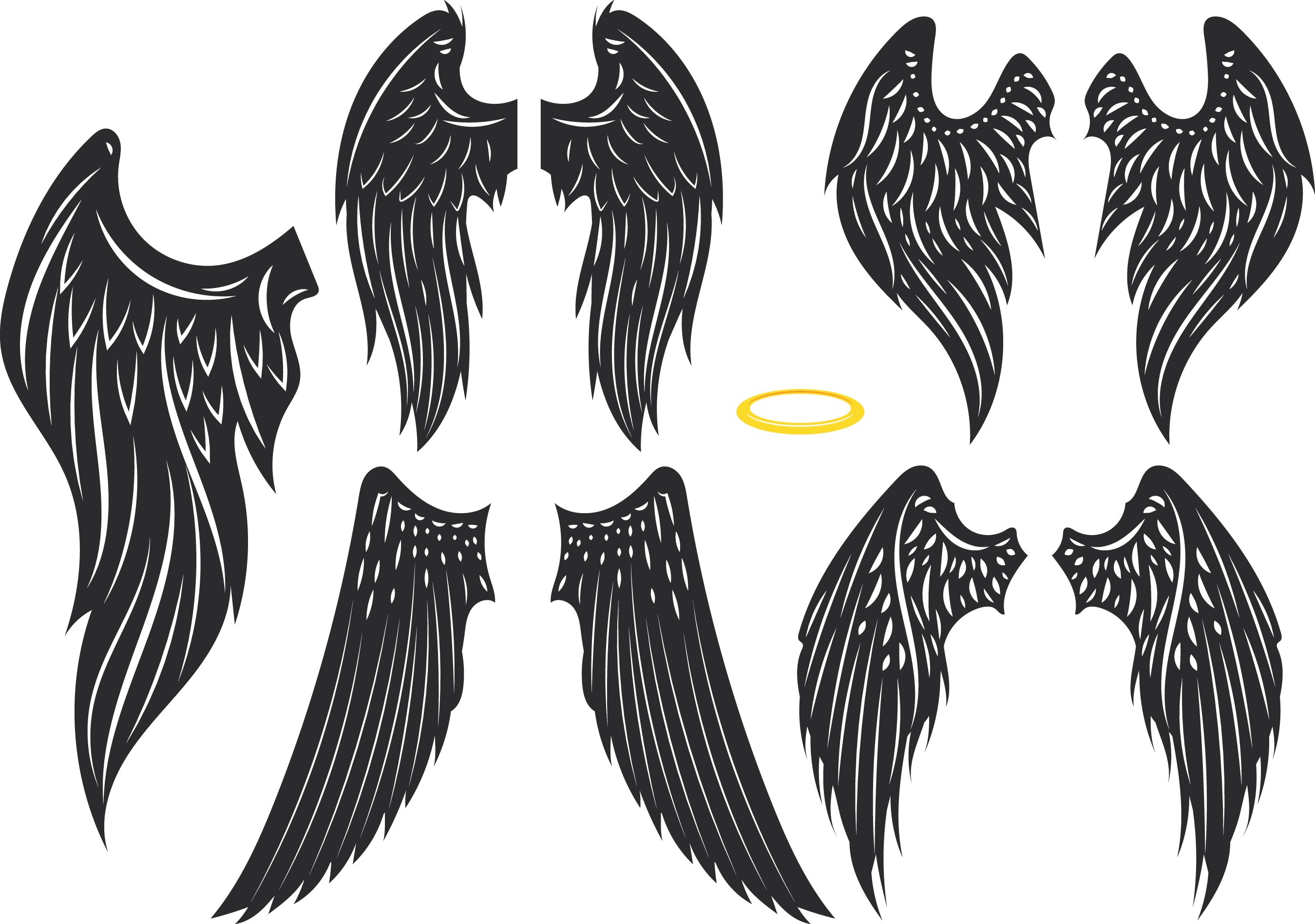 Bird Wing Clipart