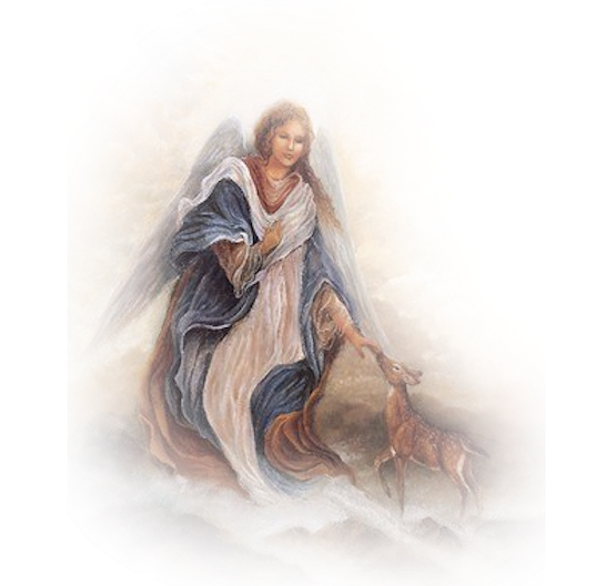 Angel Cartoon Clipart