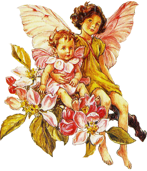 Flower Fairies Clipart