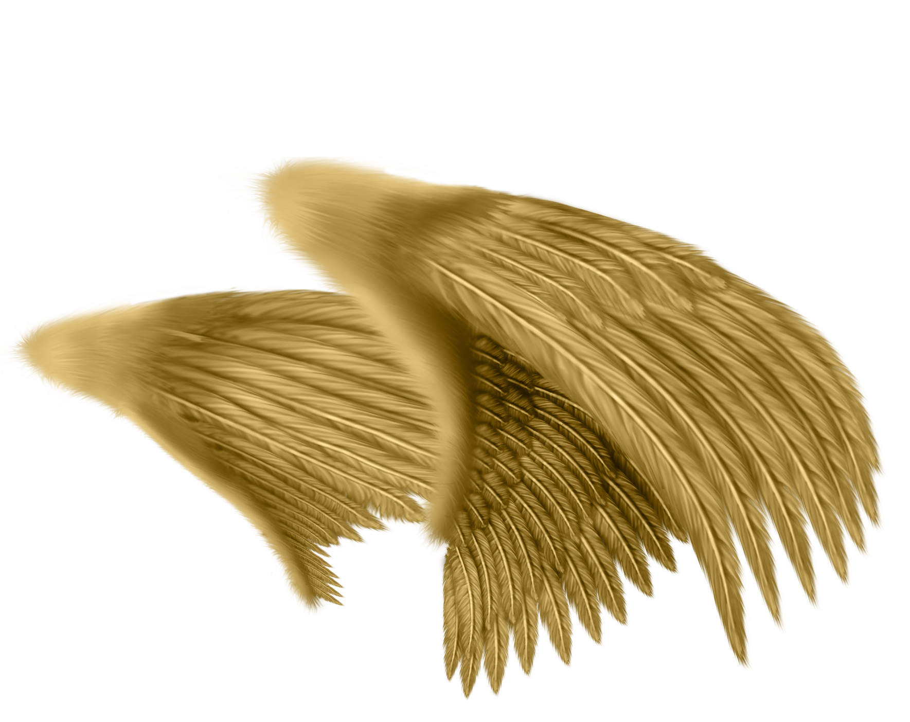 Angel Cartoon Clipart