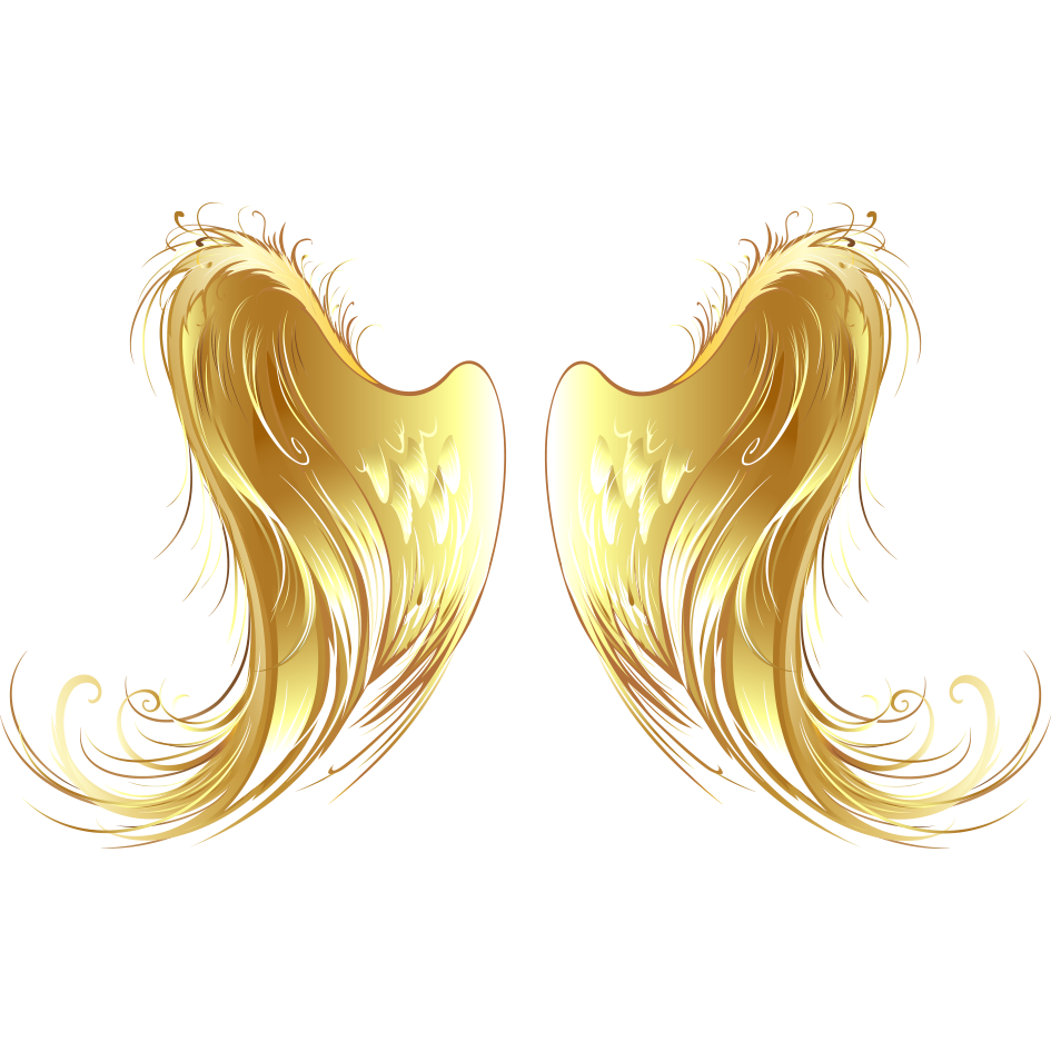 Wing Jewellery Clipart