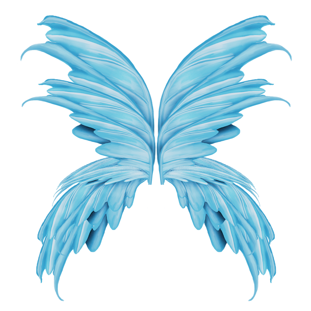 Butterfly Cartoon Clipart