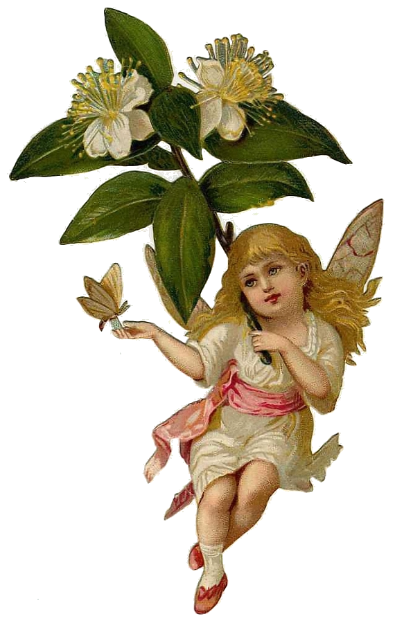 Flower Fairies Clipart