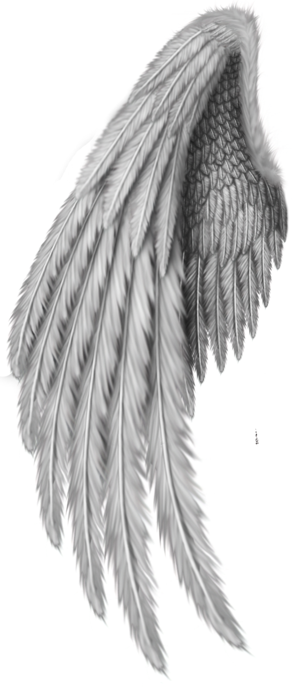 Angel Cartoon Clipart