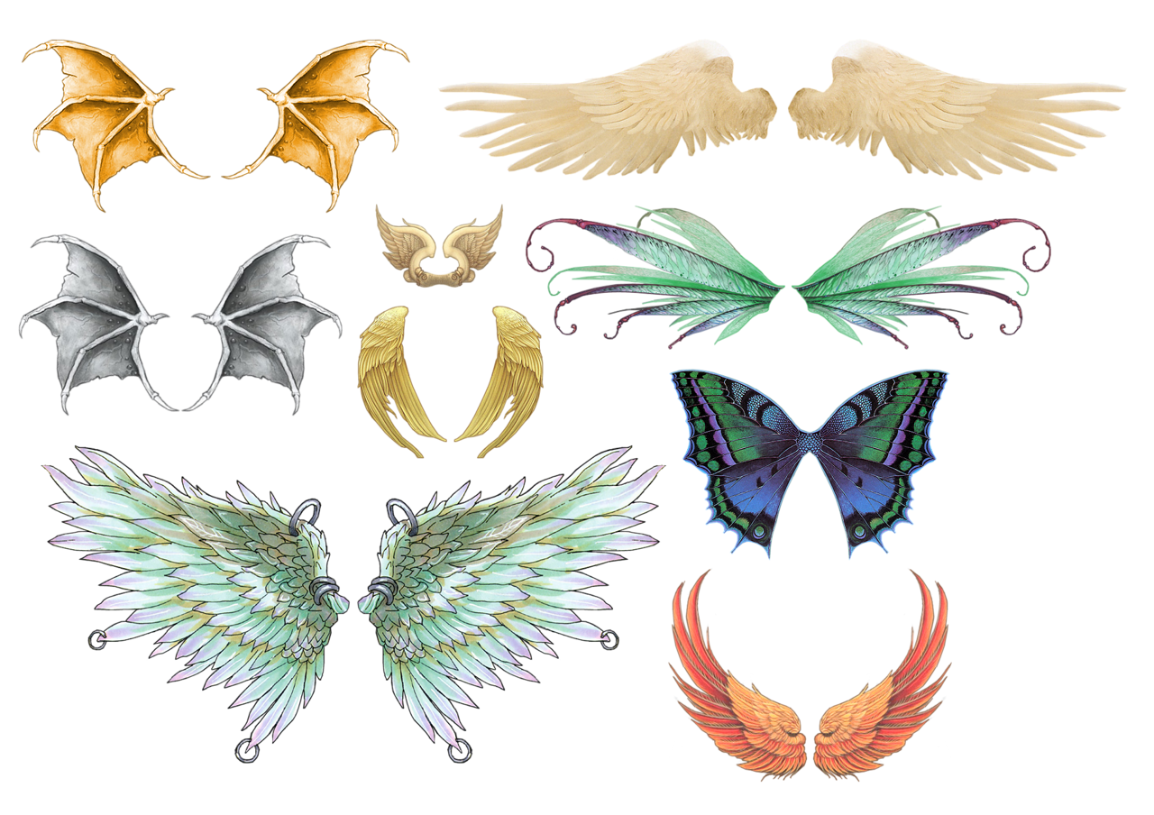 Bird Drawing Clipart