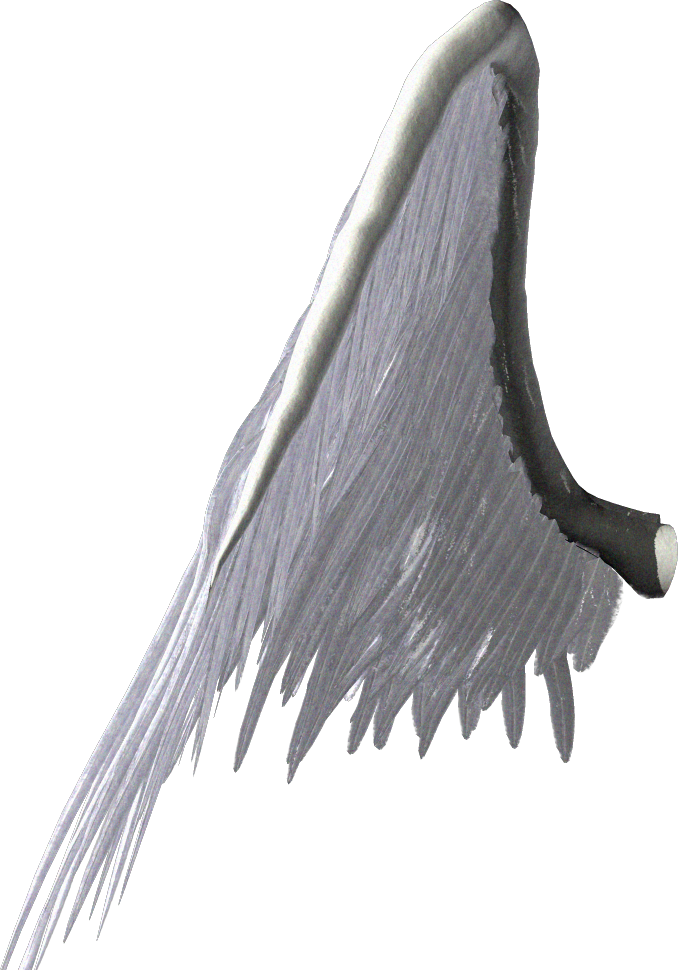 Angel Cartoon Clipart