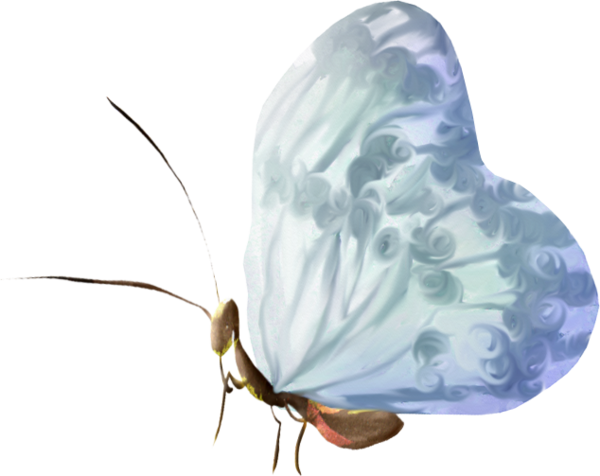 Butterfly Clipart Clipart