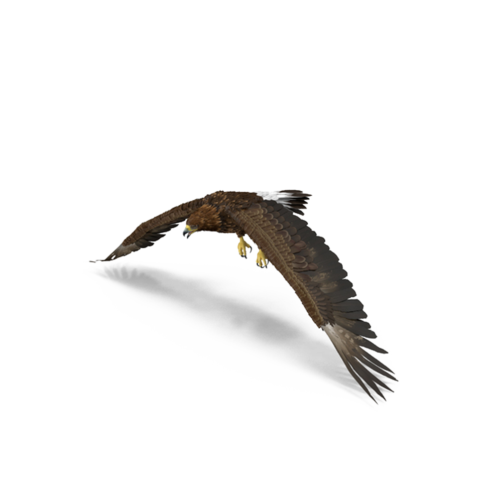 Golden Background Clipart