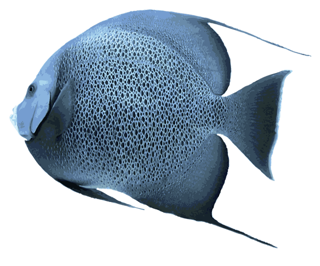 Fish Cartoon Clipart