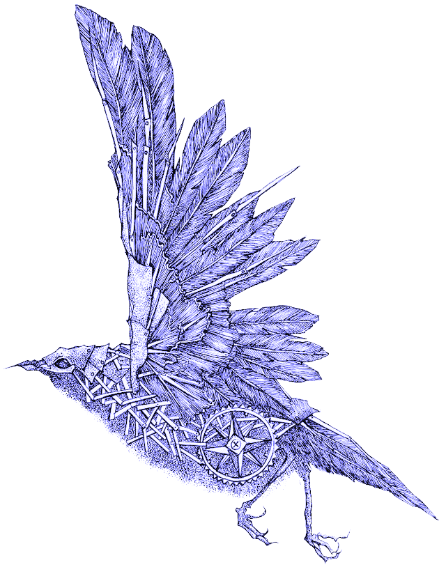 Bird Drawing Clipart