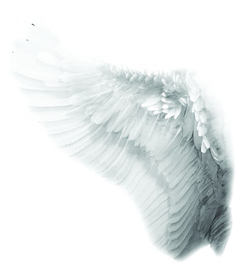 Catholic Angel Of Church Wings To Co-Redemptrix Clipart