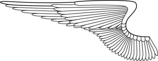 Angel Wings Vector In Open Office Drawing Clipart