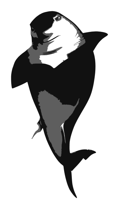 Cartoon Shark Clipart