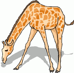 Free Animal And Animations Png Image Clipart