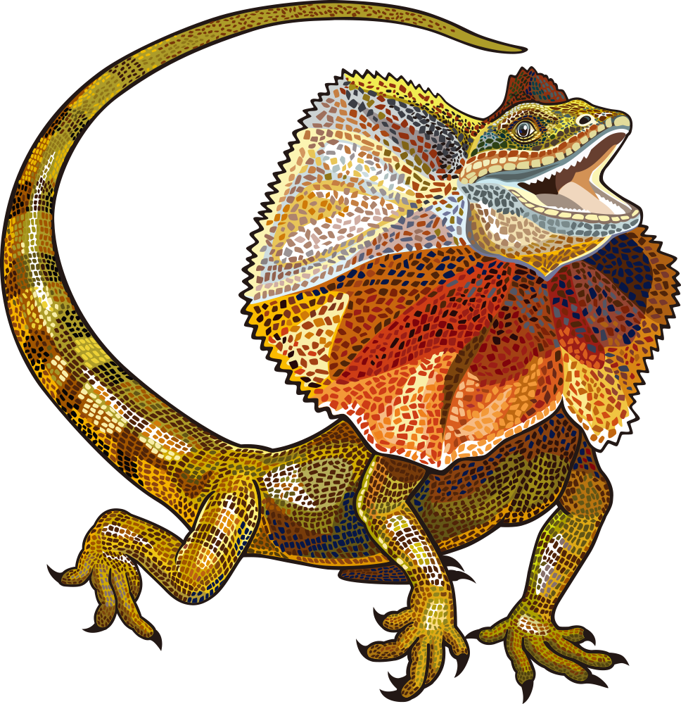 Lizard Vector Free Download Image Clipart