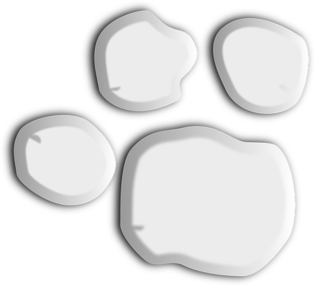 Tiger Paw Clipart