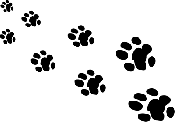 Black Line Background Clipart