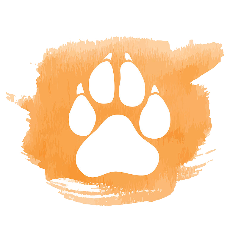 Dog And Cat Clipart