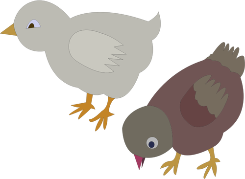Of Two Colored Chickens Roaming Around Clipart