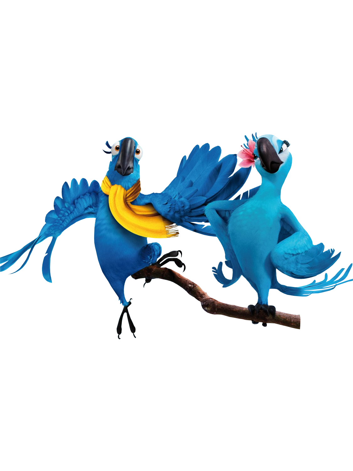 Rio Bird Clipart