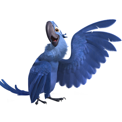 Rio Bird Clipart