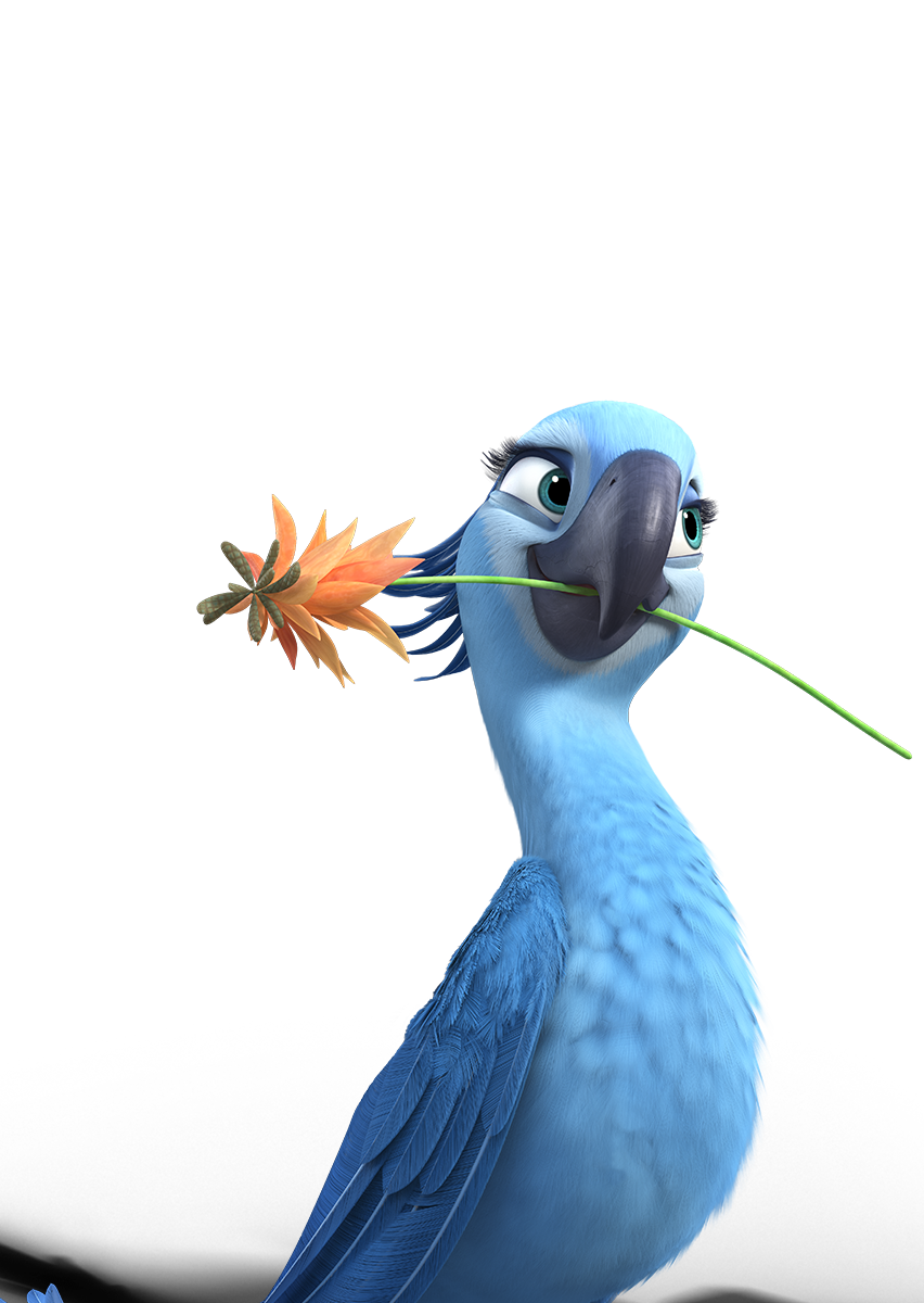 Rio Bird Clipart
