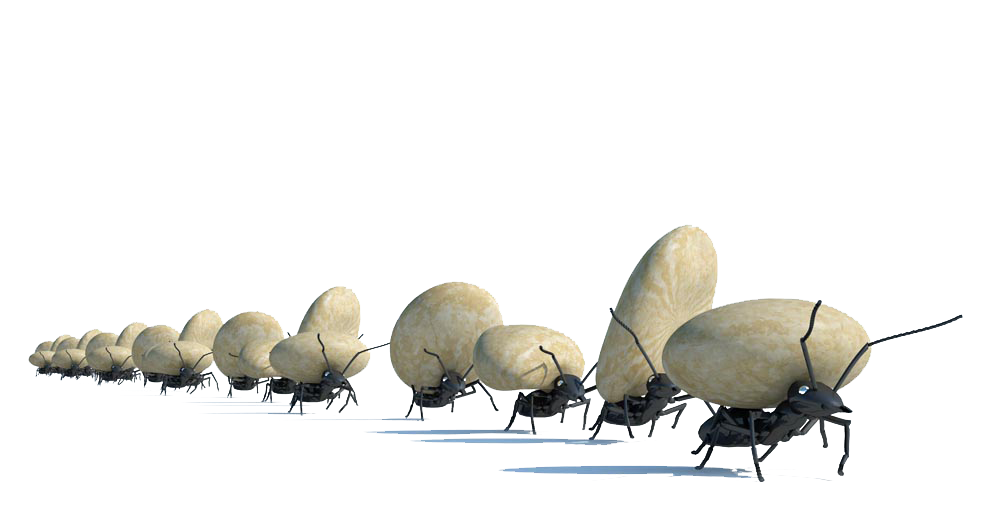 Ant Cartoon Clipart