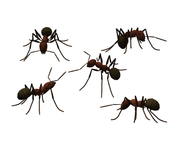 Ant Cartoon Clipart