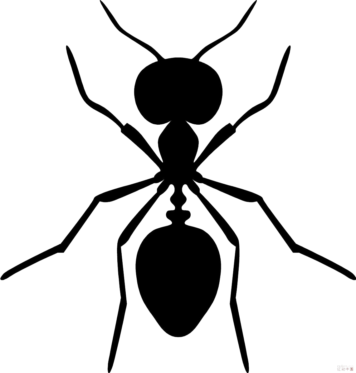Ant Cartoon Clipart
