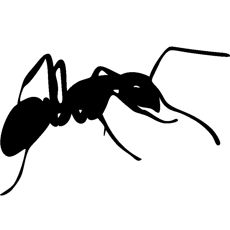 Ant Cartoon Clipart