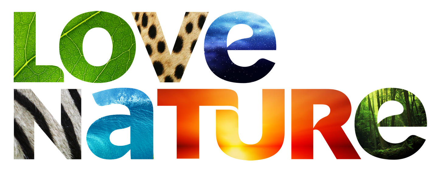 Cartoon Nature Background Clipart