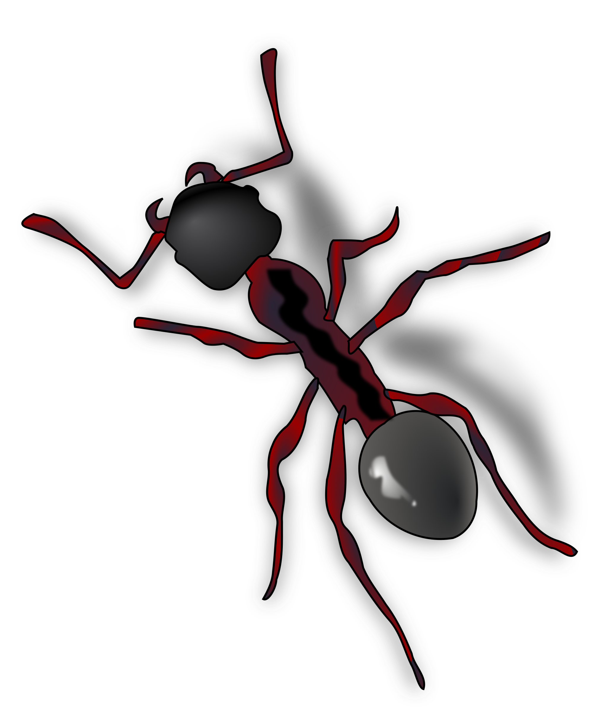 Ant Cartoon Clipart