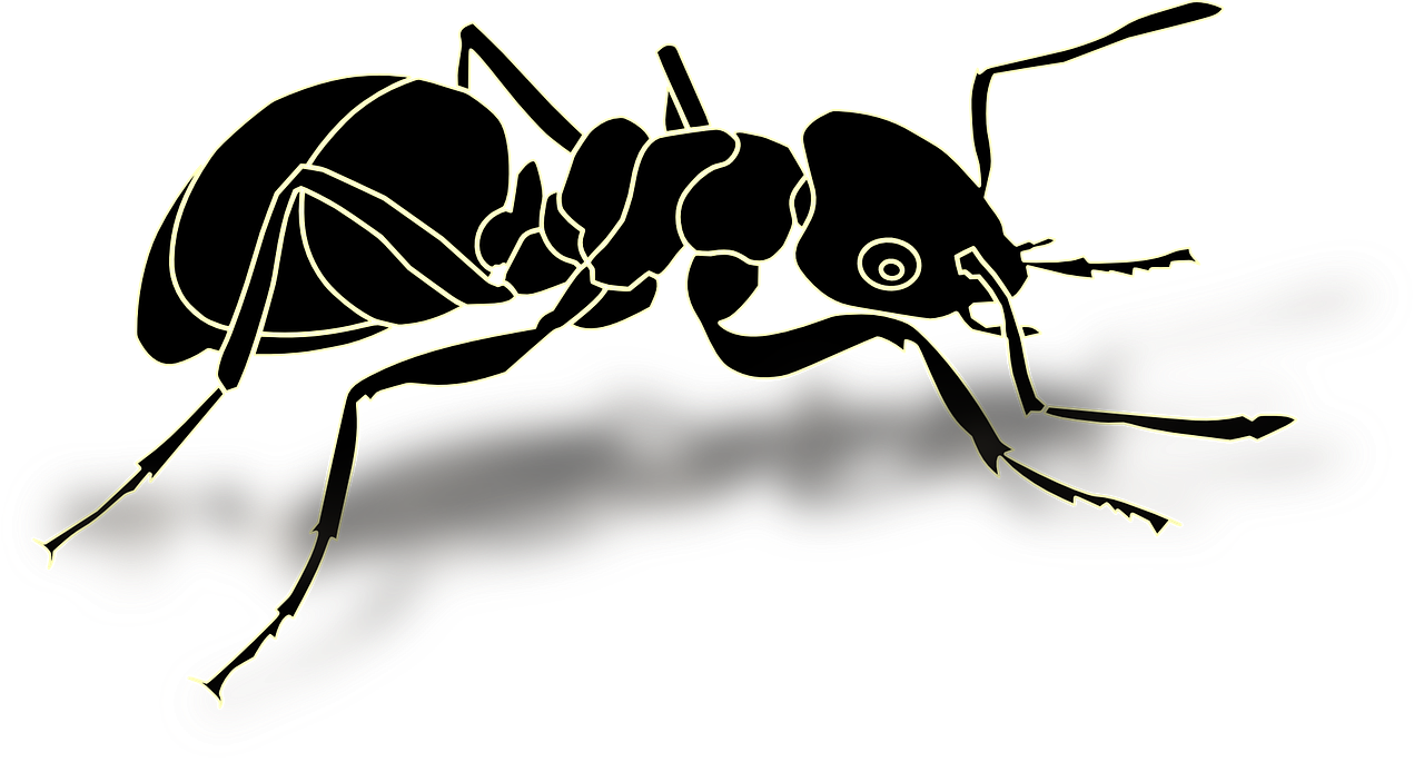 Ant Cartoon Clipart