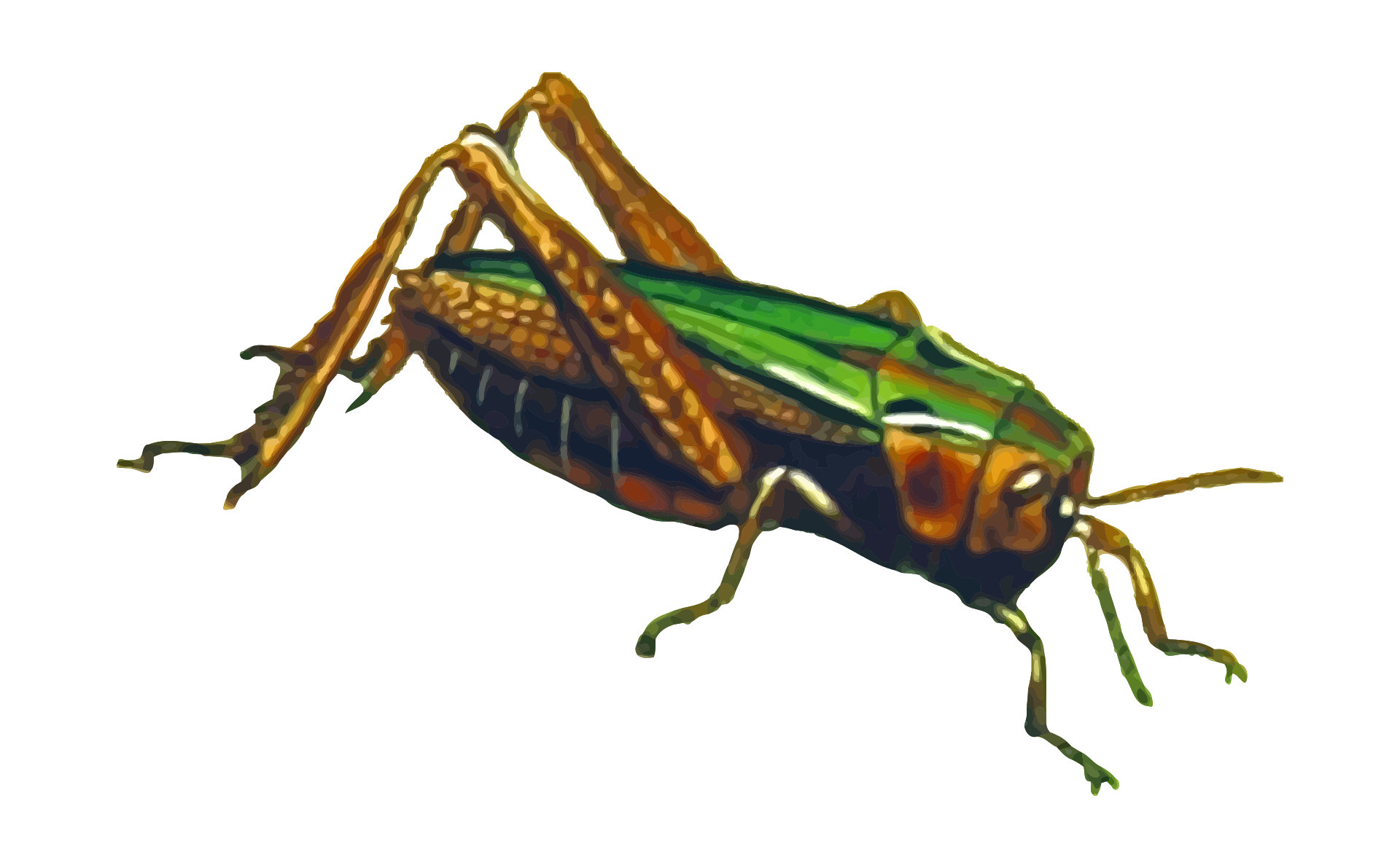 Ant Cartoon Clipart