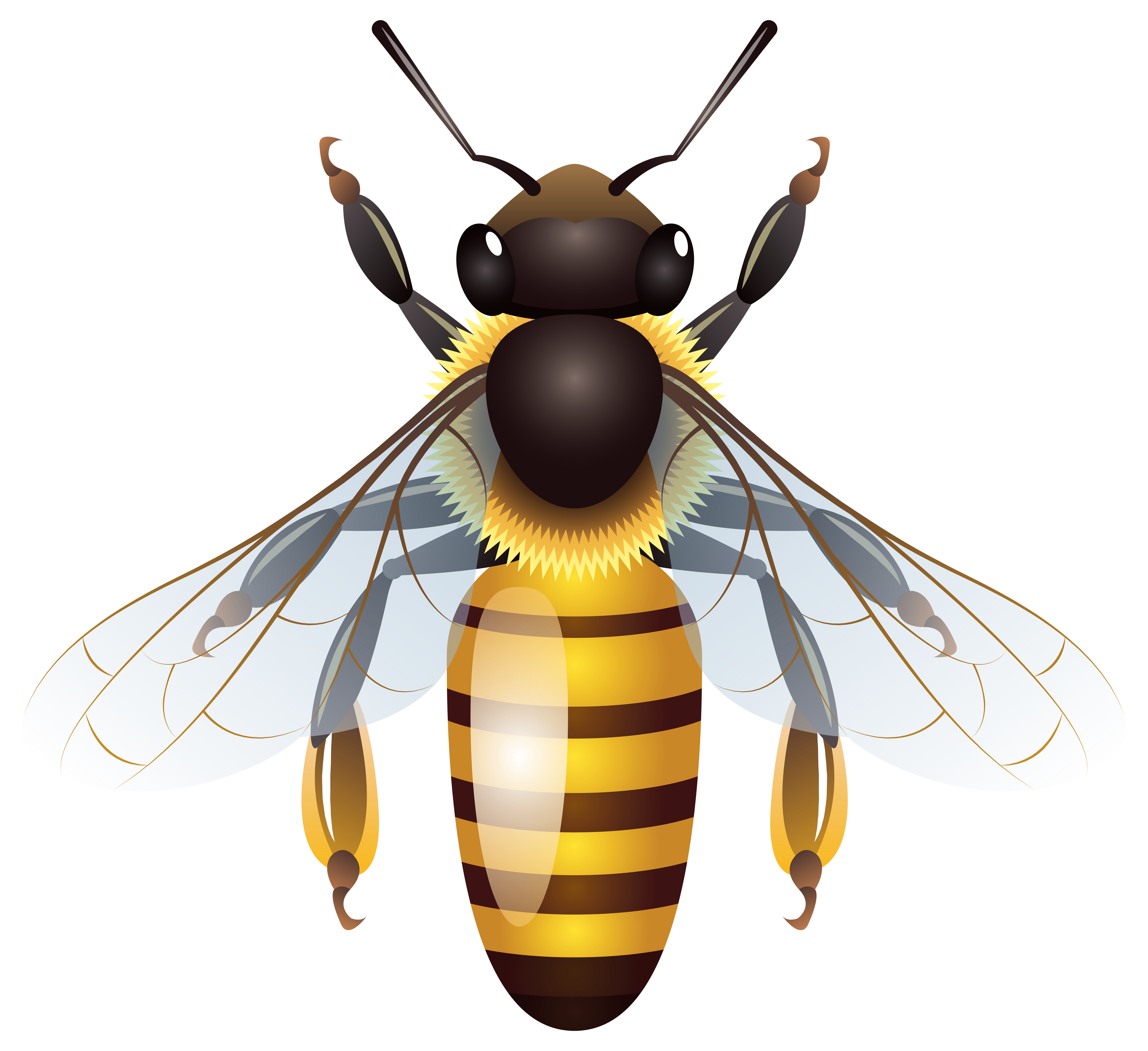 Bee Background Clipart