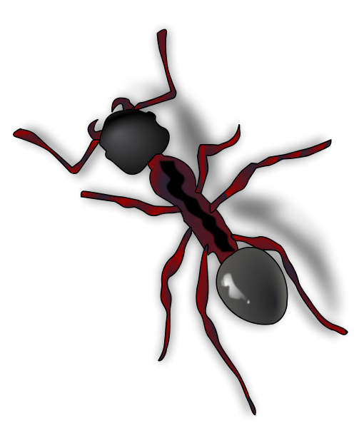 Ant Cartoon Clipart