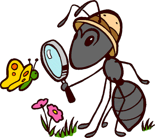 Ant Cartoon Clipart
