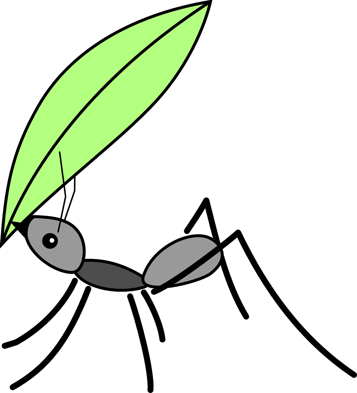 Black Line Background Clipart