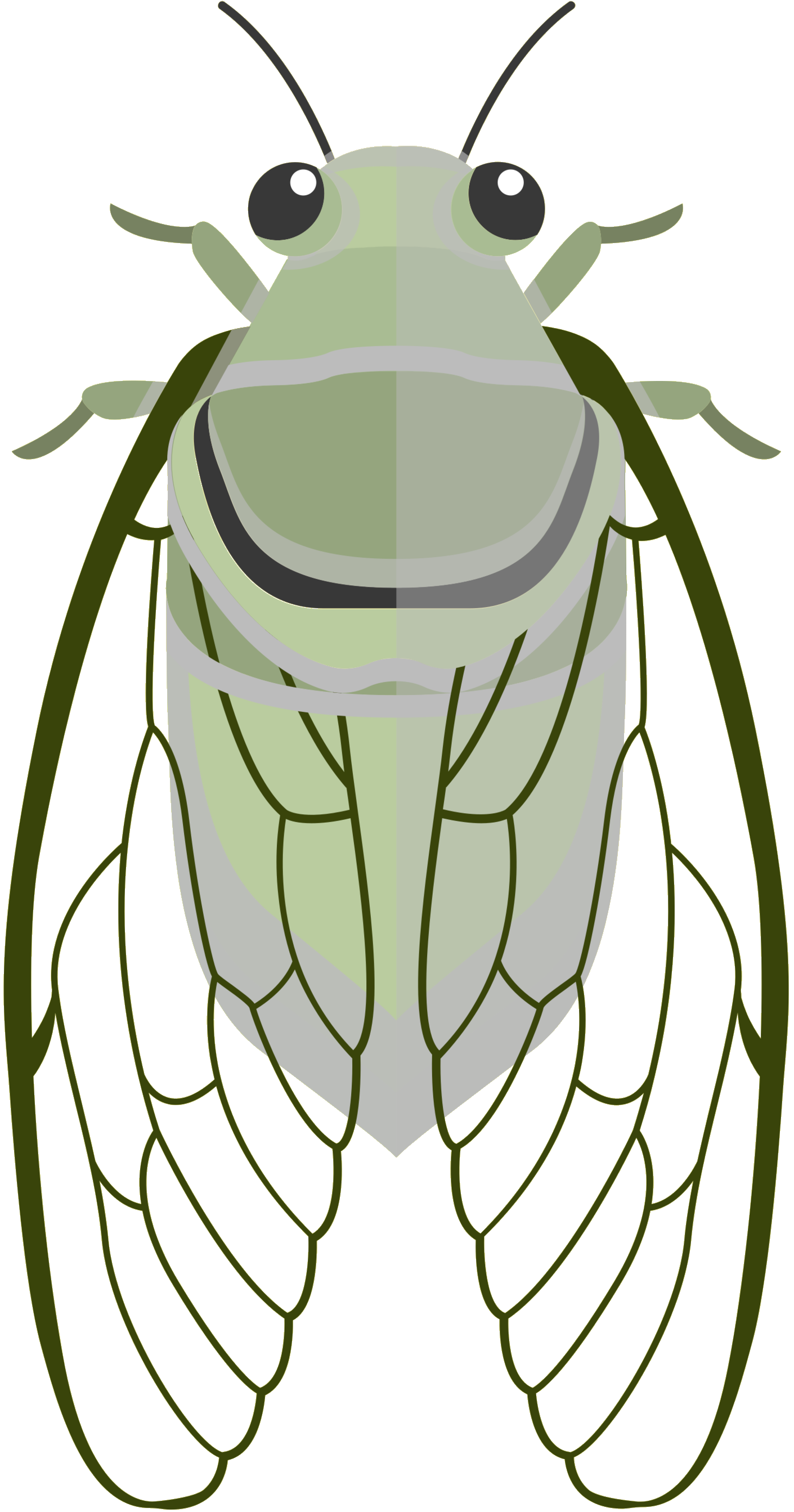 Ant Cartoon Clipart