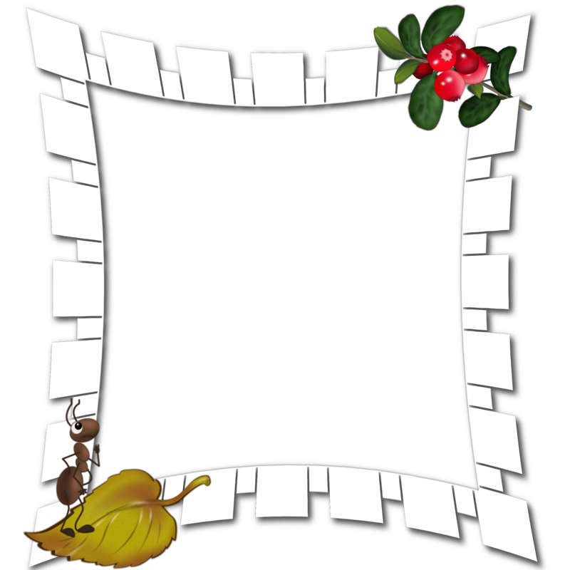 Flower Border Frame Clipart