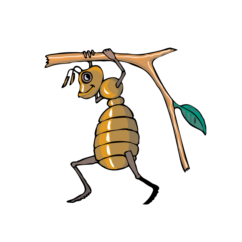 Bee Cartoon Clipart