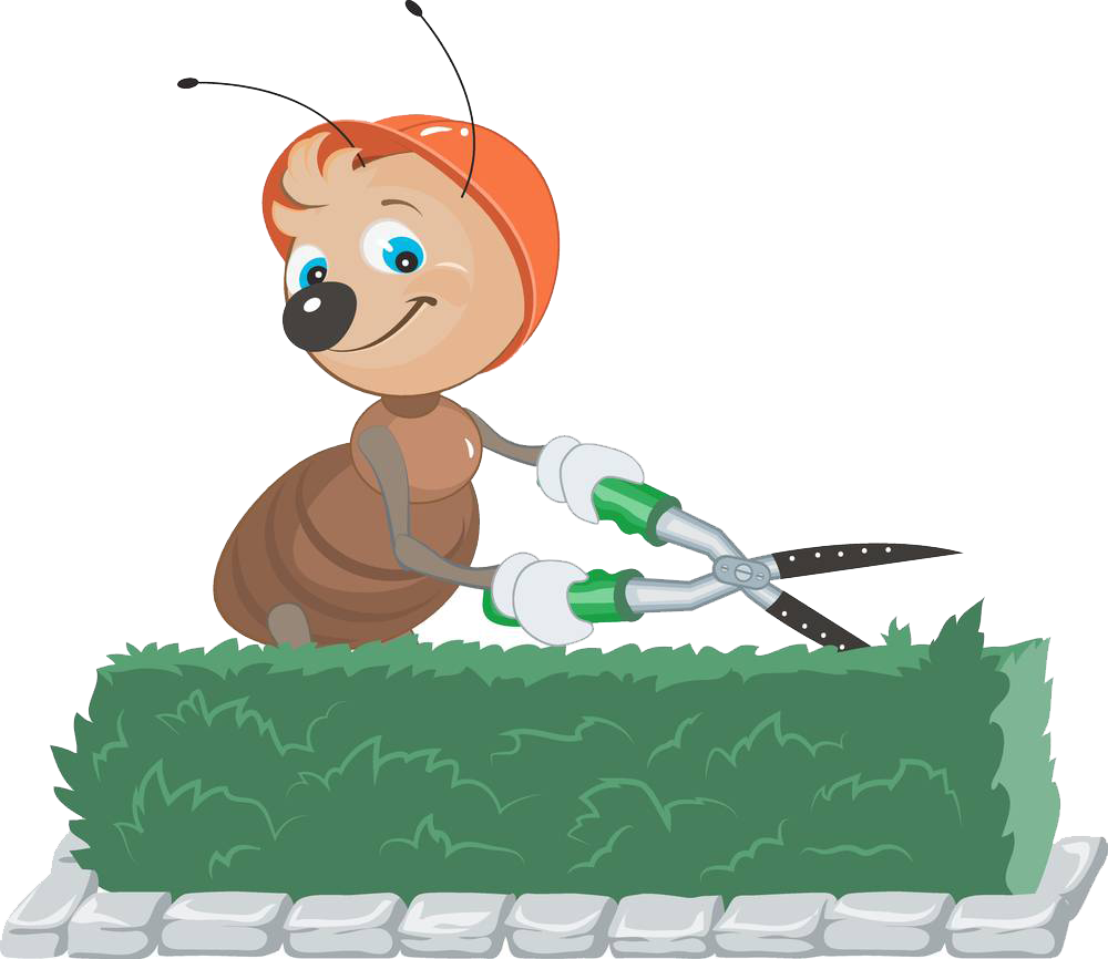 Birthday Cake Drawing Clipart
