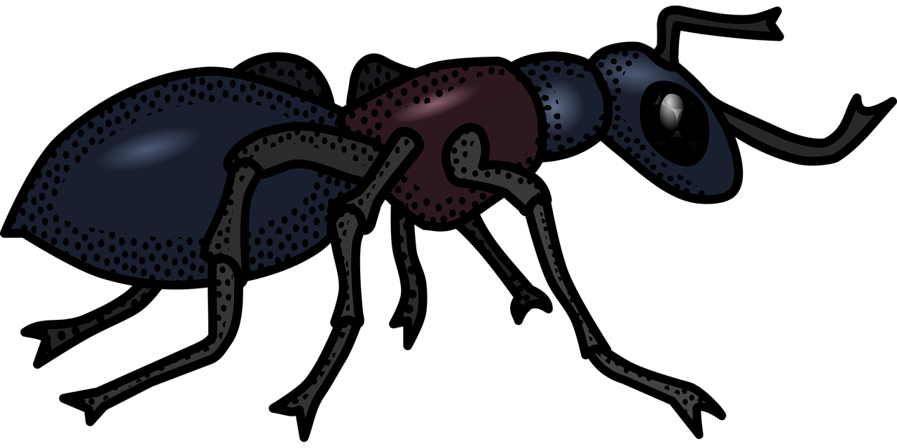 Ant Cartoon Clipart