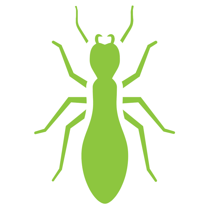 Ant Cartoon Clipart